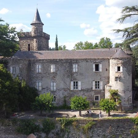 Le Chateau De Cambiaire Saint-Etienne-Vallee-Francaise Exterior photo