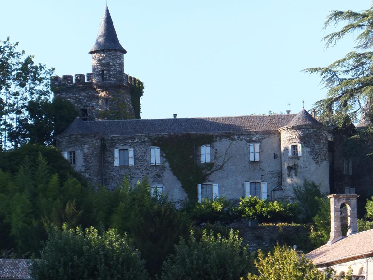 Le Chateau De Cambiaire Saint-Etienne-Vallee-Francaise Exterior photo